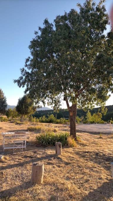 El Telar Arte Y Naturaleza Prádena Dış mekan fotoğraf