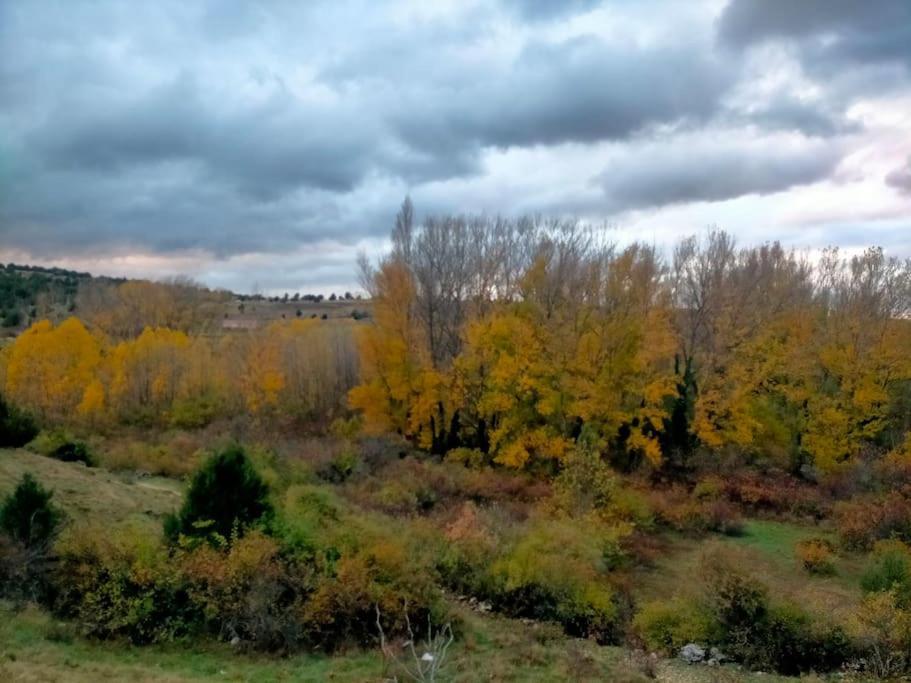 El Telar Arte Y Naturaleza Prádena Dış mekan fotoğraf