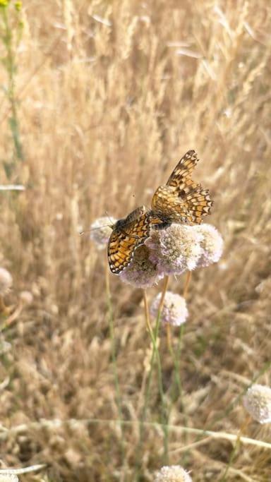 El Telar Arte Y Naturaleza Prádena Dış mekan fotoğraf