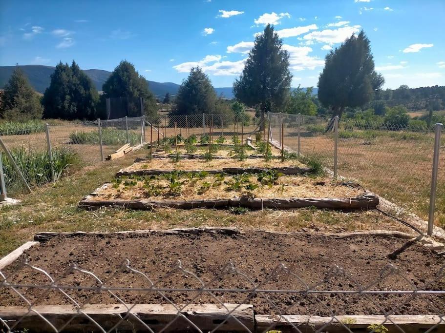El Telar Arte Y Naturaleza Prádena Dış mekan fotoğraf
